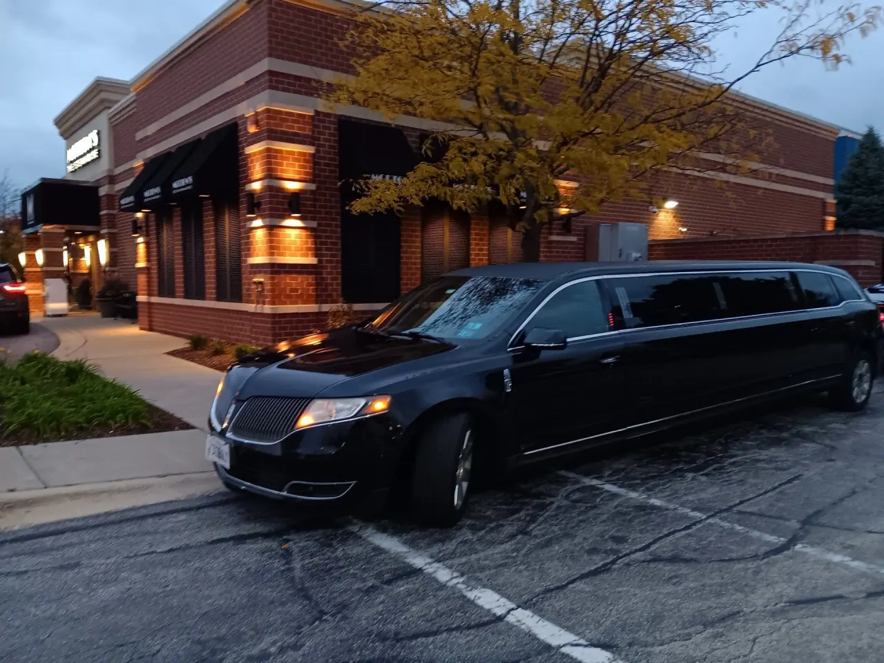 Royal Carriage Chicago luxury limo fleet — stretch limos, Escalades, party buses